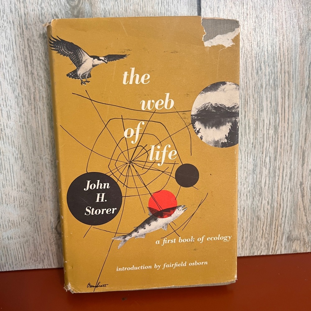 The Web of Life A First Book of Ecology John H Storer 1953 Hardcover Vintage